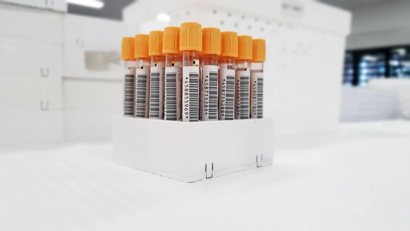 Tubos de sangre con tapa naranja y código de barras en una gradilla blanca de laboratorio: imagen para la guía del ácido úrico